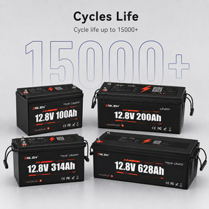 ENLZH 12V 50Ah to 640Ah LiFePO4 Batteries 6000 Deep Cycles