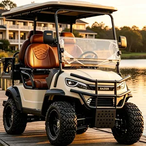 Factory Direct OEM ODM Electric Buggy Custom Logo