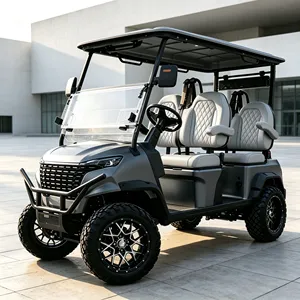Luxury 4 Passenger Neighborhood Transportation Vehicle