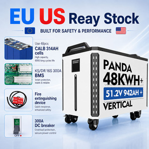 Docan Panda 32kwh 48Kwh 50kwh 51.2V LiFePO4 Home Energy Storage