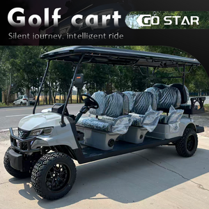 Custom 8 Seater Electric Golf Cart 48V Lithium Battery