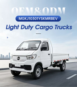 4 Wheel Right Hand Drive 1.5T Cargo Capacity LFP Battery Delivery Truck