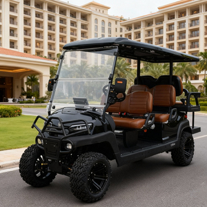Luxury Electric Golf Cart CE Certified 5KW AC Motor